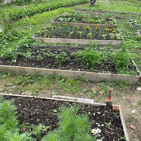 Les Tables De La Rousse ゲストハウス La Fouillade