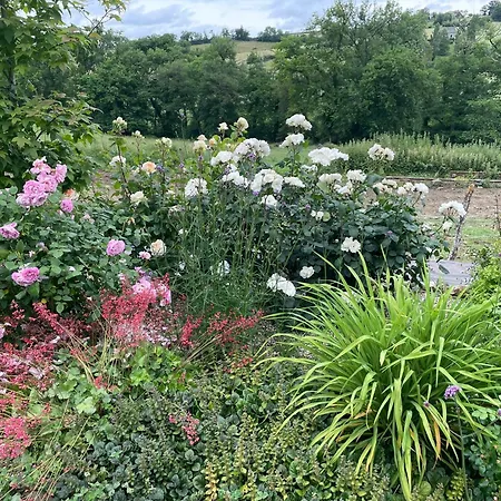 ゲストハウス Les Tables De La Rousse La Fouillade